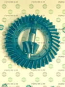 Гипоидная пара (по часовой) 45A19 45A21 Гипоидная пара (по часовой) 45A19 45A21