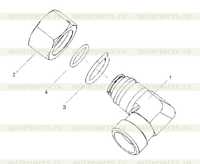 Локоть Локоть