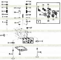 Головка блока цилиндров в сборе Головка блока цилиндров в сборе