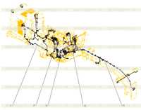 ELECTRICAL AR (5699901) ELECTRICAL AR (5699901)