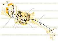 ELECTRICAL AR (5766840) ELECTRICAL AR (5766840)