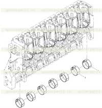 Main Bearing Set Main Bearing Set