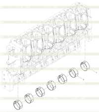 Main Bearing Set Main Bearing Set