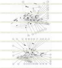 Рисунки и отметки 200605343 Рисунки и отметки 200605343