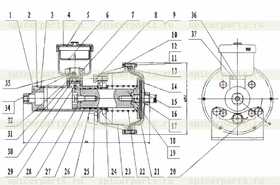 Oil Cup Diaphragm