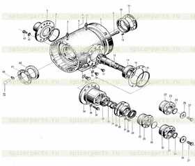 Differential Case (I)