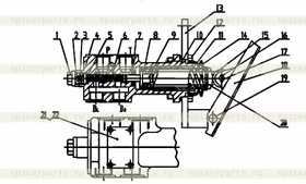 scutcheon