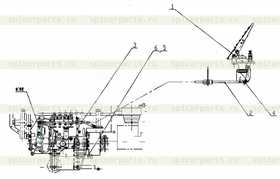 Cable Assembly