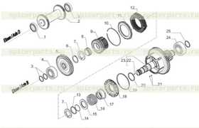 Needle bearing bush