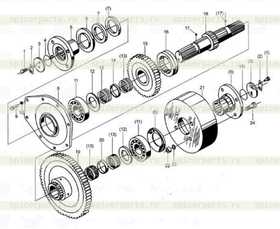 Nut M14