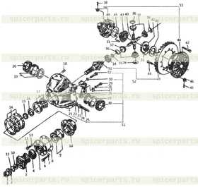 Differential side gear