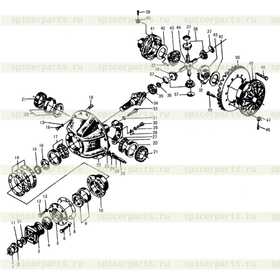 PINION FOR DIFFERENTAL