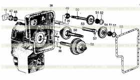 DRIUE GEAR OF STEERING PUMP