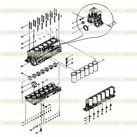 Bearing shell 81500010046