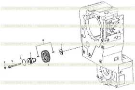 PACKING WASHER (25) 0630362024