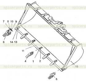 Trimmed gasket