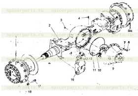 Wheel rim Nut (L)