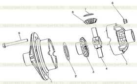 Flanch bolt (differential bolt) 75501981