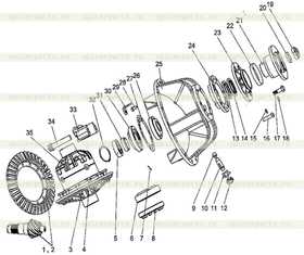 Lock plate 75200054