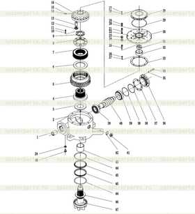 Gasket (SEM)