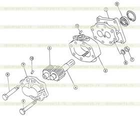 Oil seal