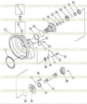 Oil seal