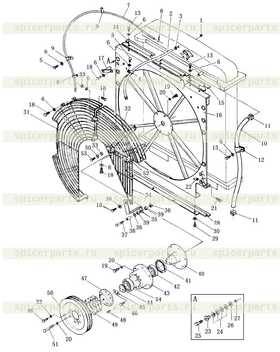 net R.H lower