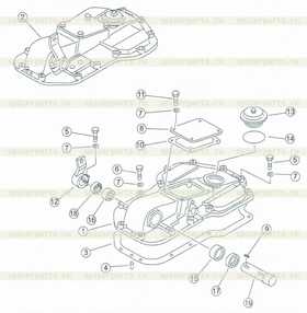 oil seal