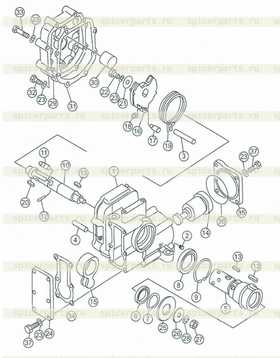 oil seal