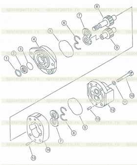 oil seal