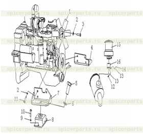 BOLT M10*50