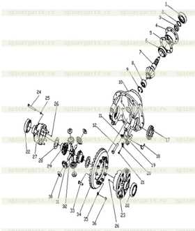 Driving Spiral Bevel Z=8