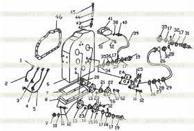 Hose fitting