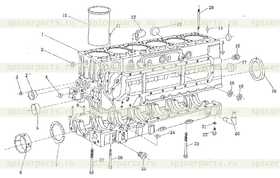 Plug M30 x 1.5 DIN908