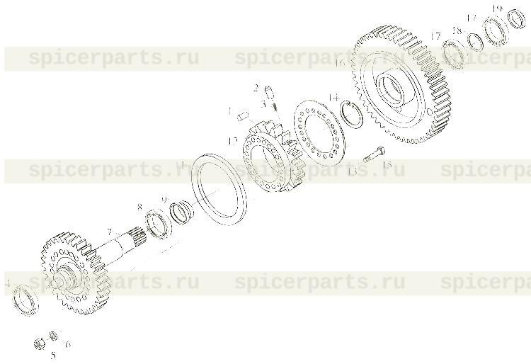 Oil pump gasket