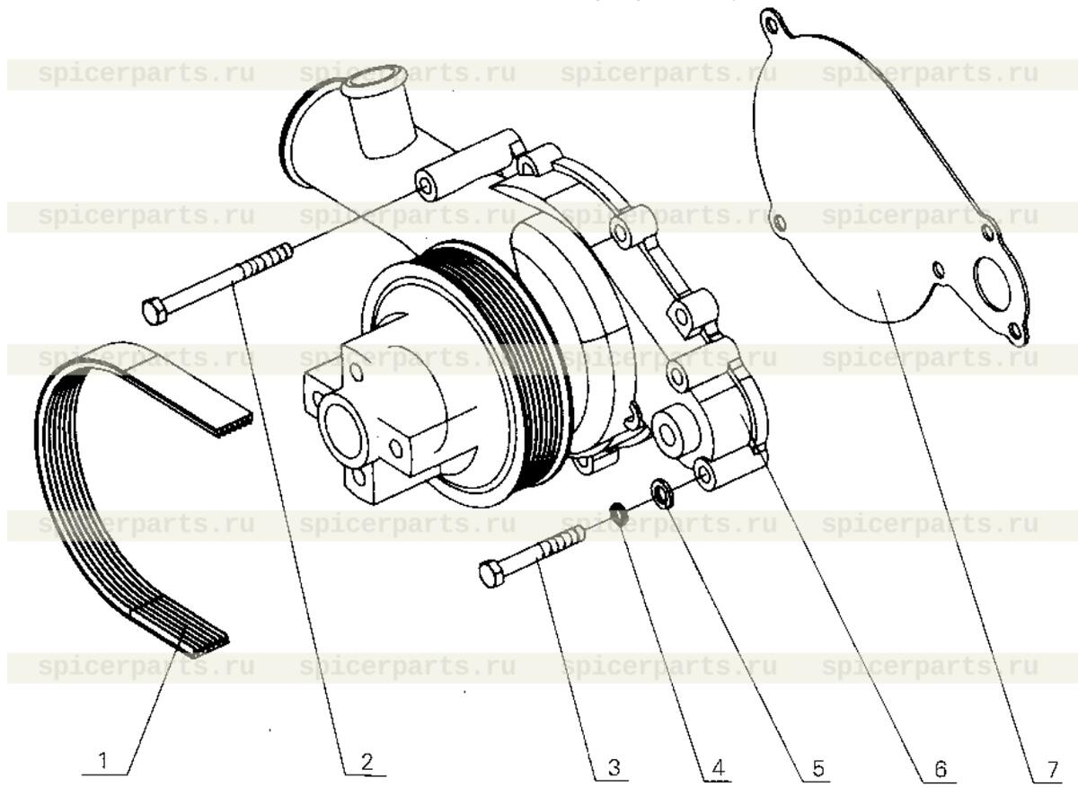 Water pump gasket (damageable)