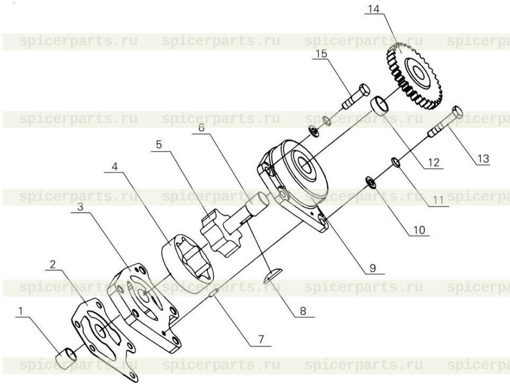 Oil pump driven gear