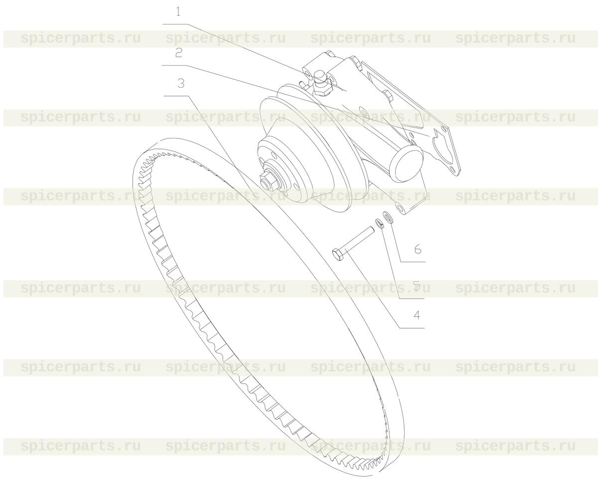 Water pump gasket