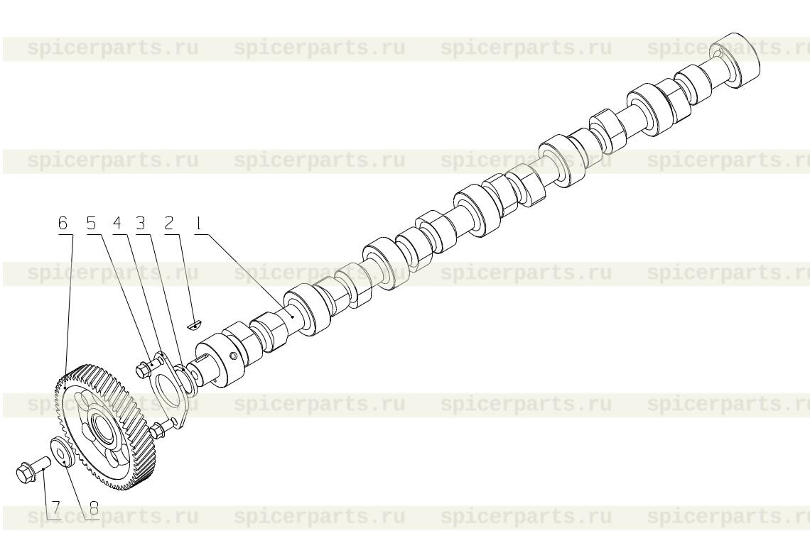 Camshaft timing gear