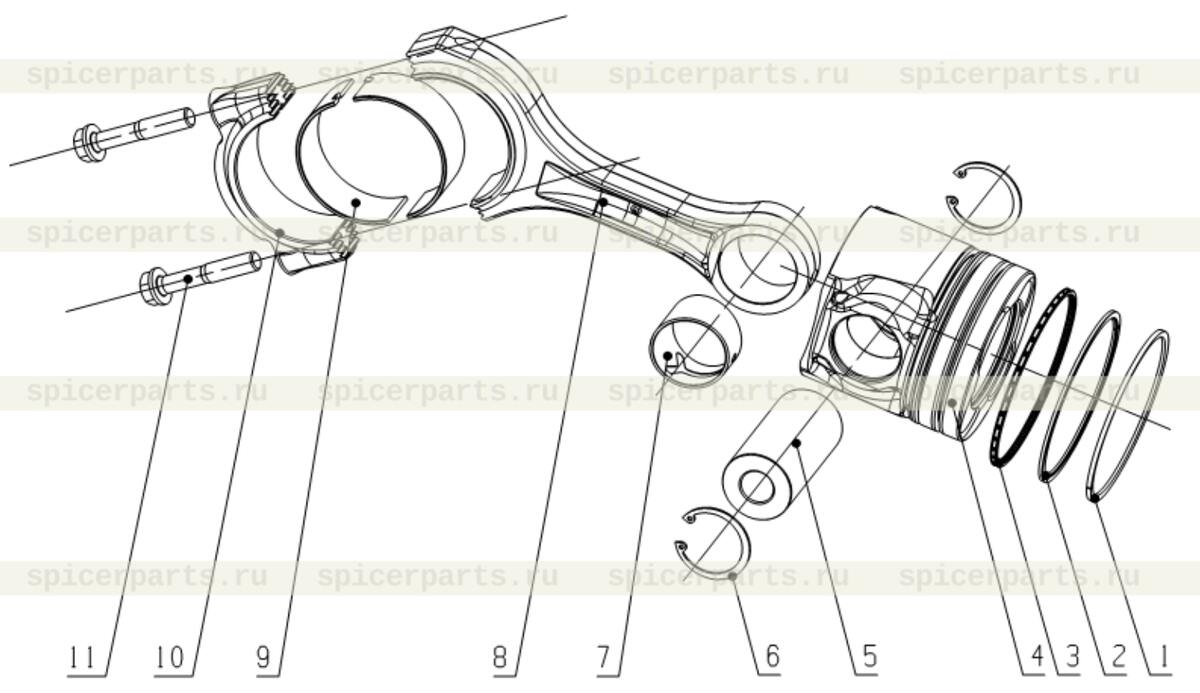 Oil control ring (EWP)